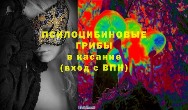 2c-b Алзамай