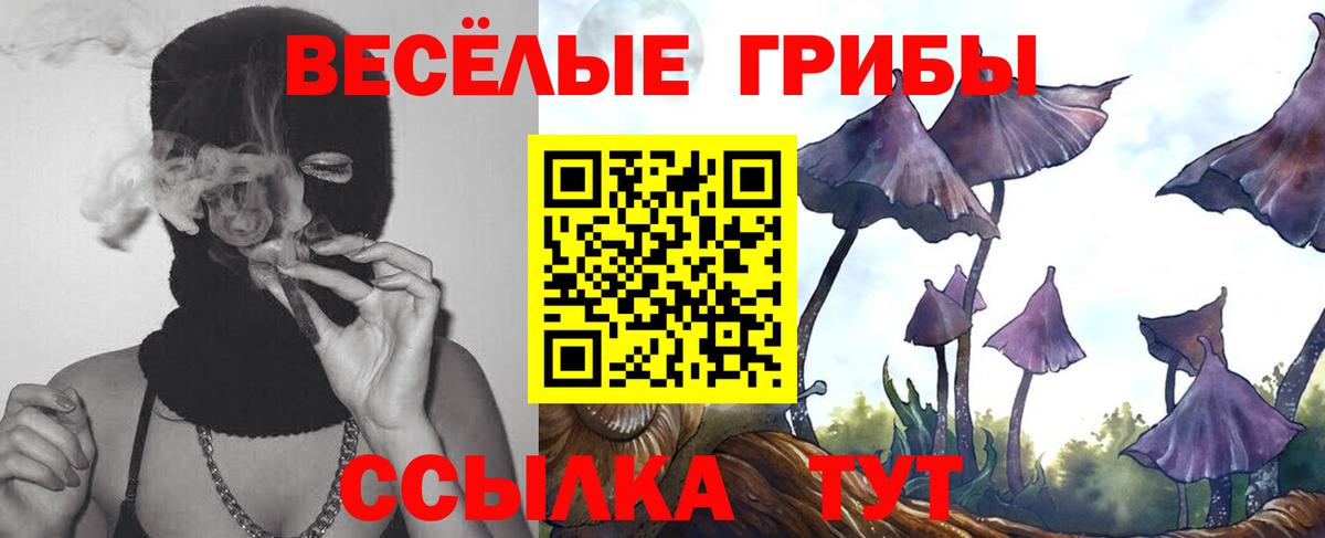 Соликамск  Псилоцибиновые грибы Magic Shrooms  Вход с VPN  Псилоцибиновые грибы Psilocybine cubensis 